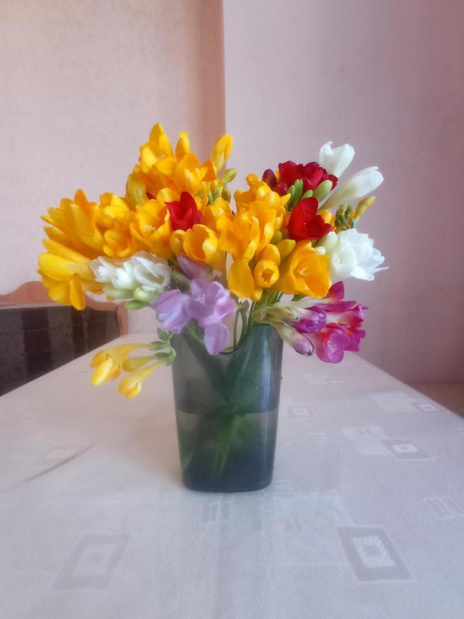 Sun City Hostel Yerevan Luaran gambar